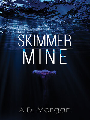 cover image of Skimmer – Mine